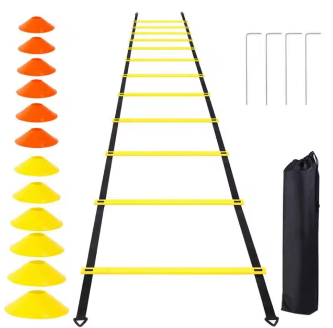 Training boxing Ladder